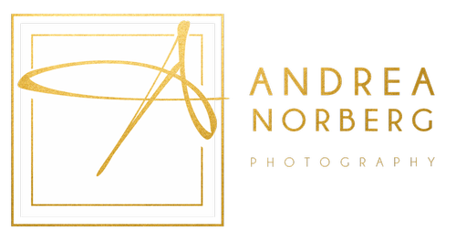 Andrea-Norberg